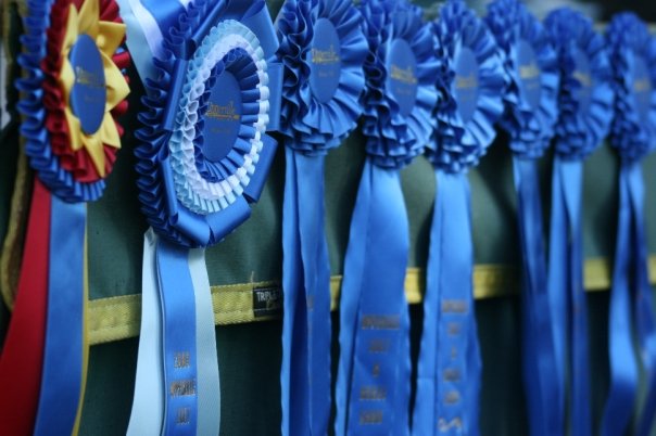 Meadowville Ribbon Banner